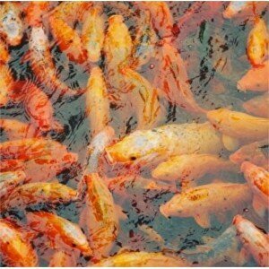 Что же мы оставим в наследие своим детям? Что же мы оставим в наследие своим детям?